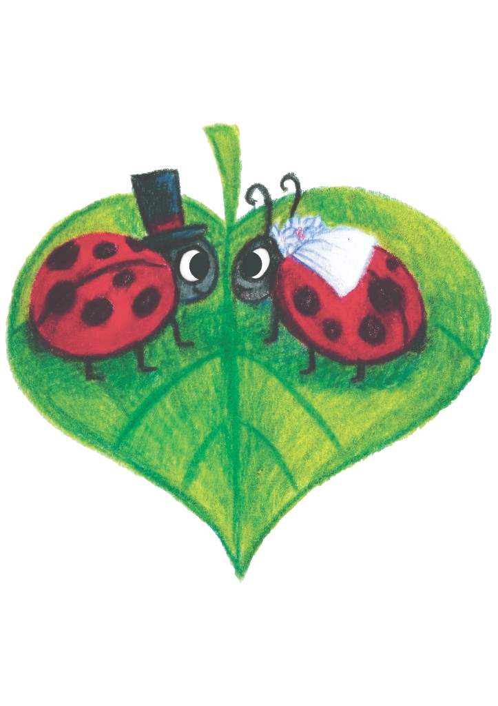 Ladybird bride and groom on a heart-shaped leaf